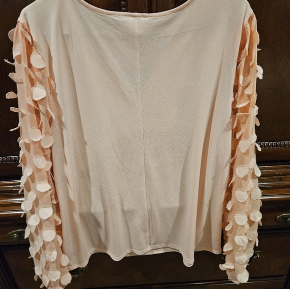 Cato Blouse - Picture 5 of 5